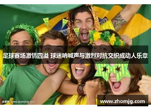 足球赛场激情四溢 球迷呐喊声与激烈对抗交织成动人乐章