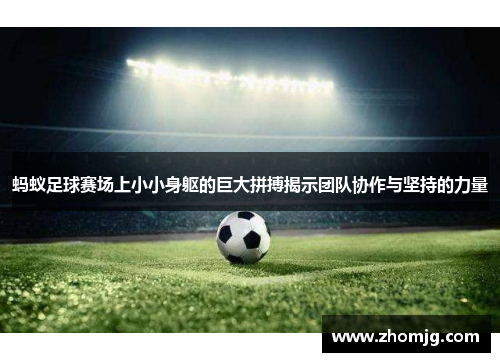 蚂蚁足球赛场上小小身躯的巨大拼搏揭示团队协作与坚持的力量