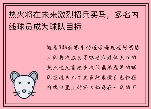 热火将在未来激烈招兵买马，多名内线球员成为球队目标